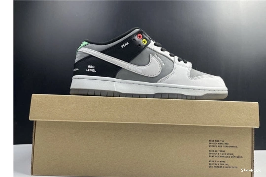 SB Dunk Low VX1000 CV1659-001 Nike 0718